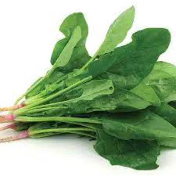 Spinach (11)-7781272-96957.webp